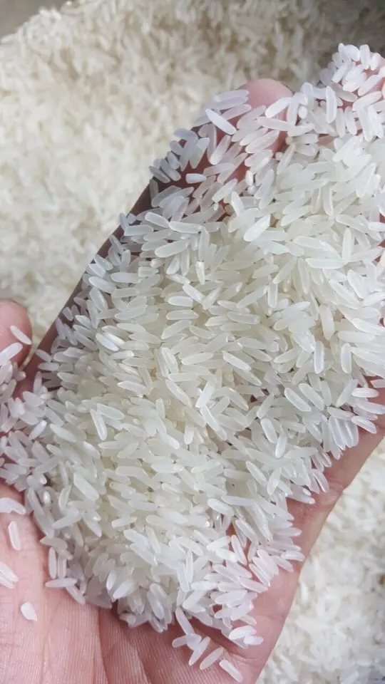 
100% NATURAL JASMINE RICE +84905010988 