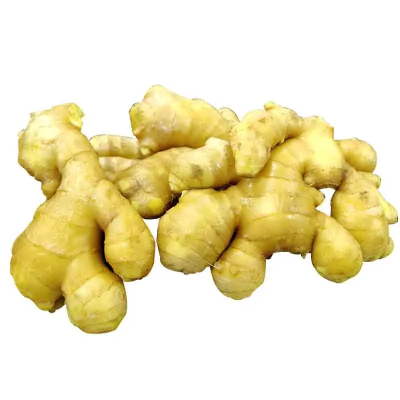 Hot selling Grade 1 fresh ginger Planting farm direct sales giner