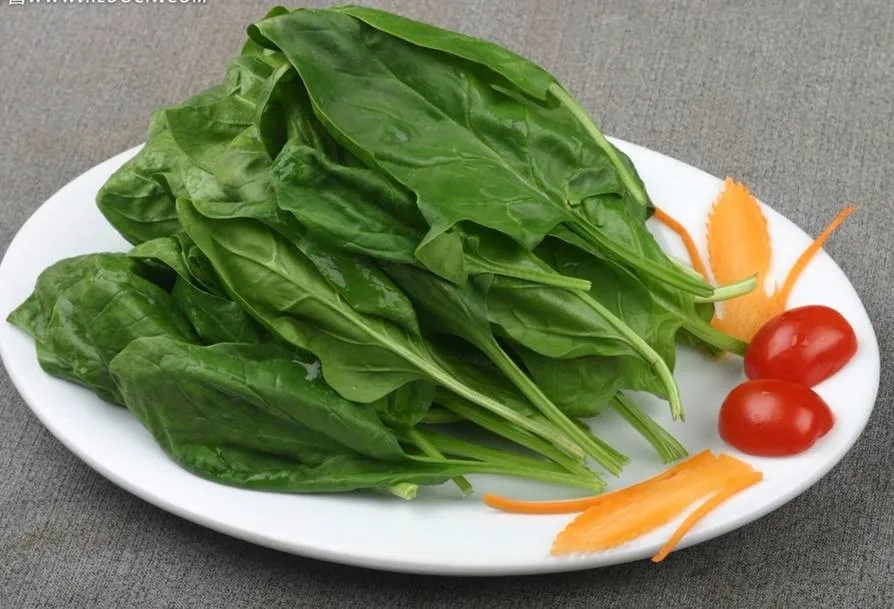 Autumn cultivation spinach hybrid seeds SXS No.4