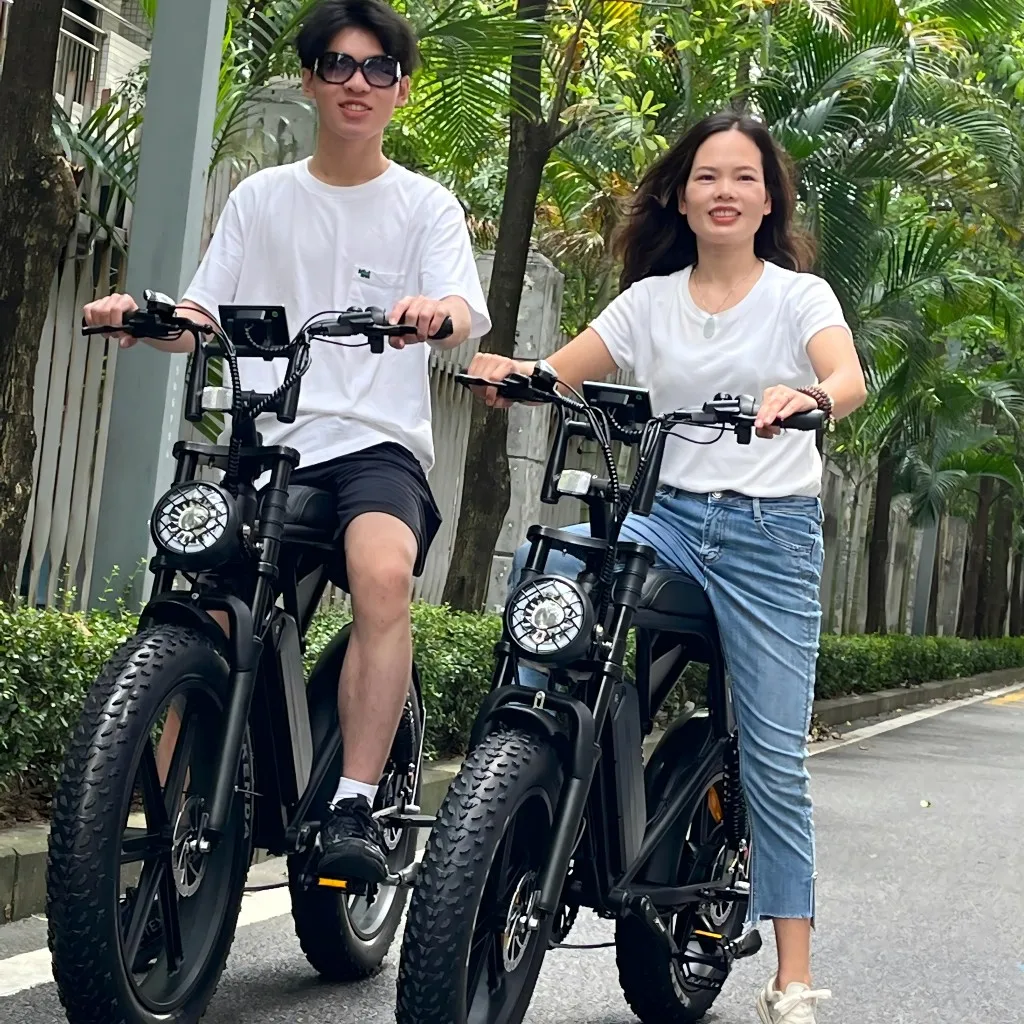 Hot Selling V8 Pro Plus Electric Mountain Bike Fat Tire Electric EU Warehouse 1000W E-Bike with 48V Electric Fatbike