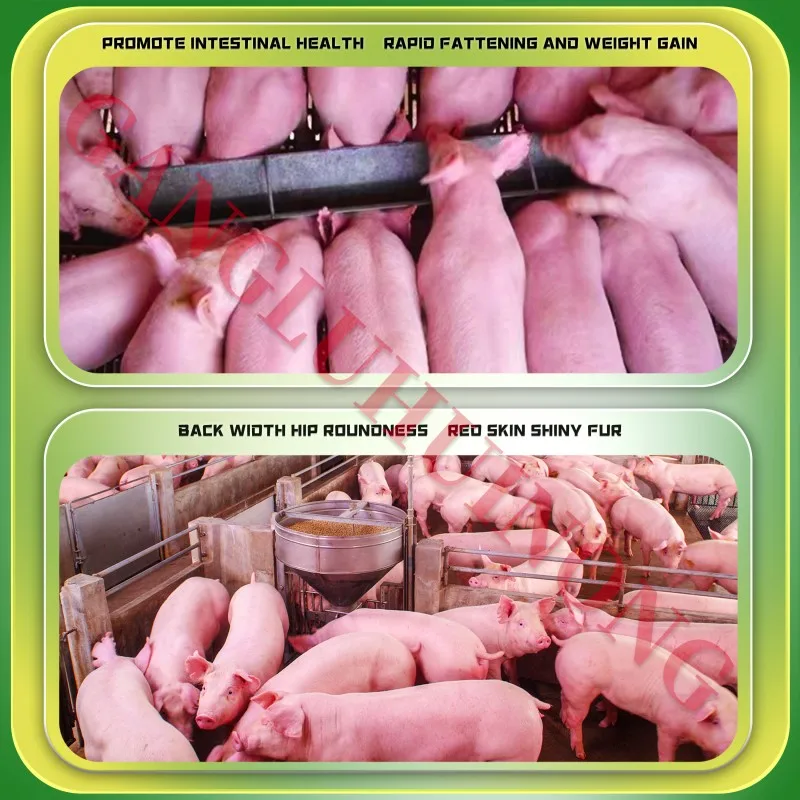Pig growth promoter Pig fattening Pig intestinal health vitamin e multivitamins soluble powder