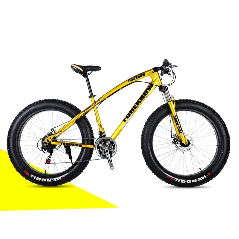 Steel fat tire big tire 26 inch 24 speed manufacturer MTB mountain snow bike beach bike mtb Bicycle