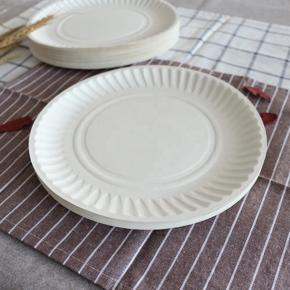Factory Price 9 Inch White Paper Plates Disposable Eco-friendly Birthday Party Paper Plates