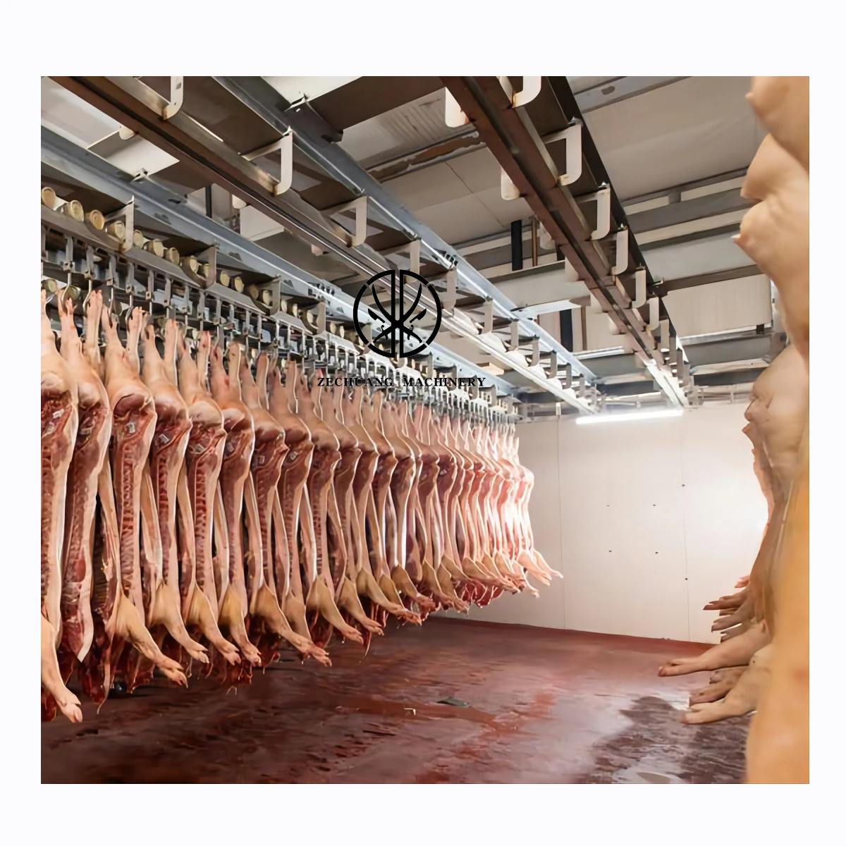 Professional Supplier Pig Abattoir Equipment Design Slaughtering Carcass Transportation And Store Convey Rail