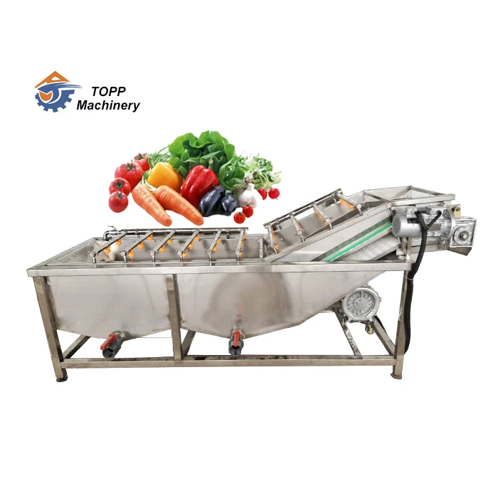 Vegetable fruits wash and dry processing machines supply vegetable washing line
