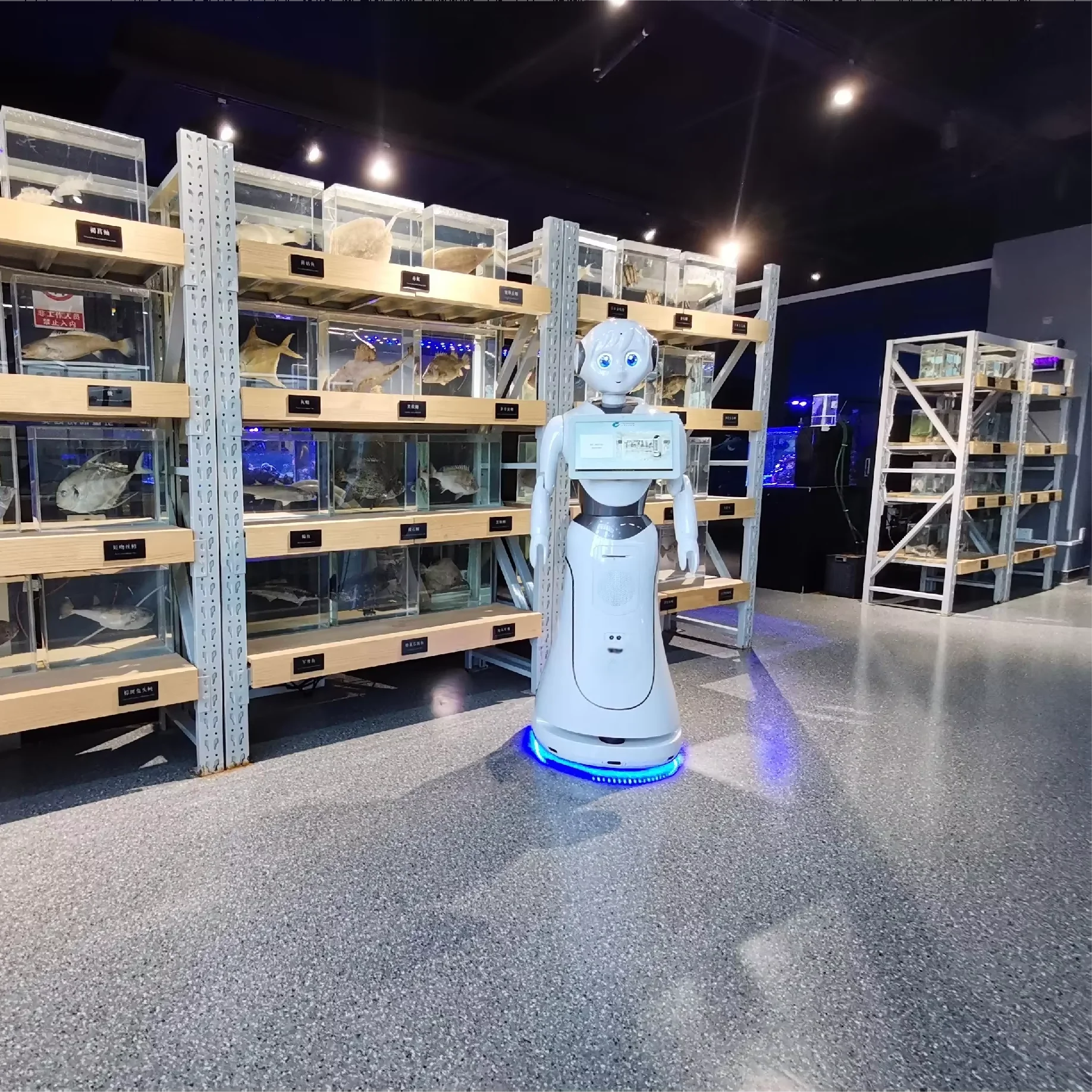 High efficiency Alice AI service robot ABS material appearance welcome robot for school library