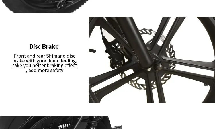 electric bicycle 48V  351-500W  fast speed made in China