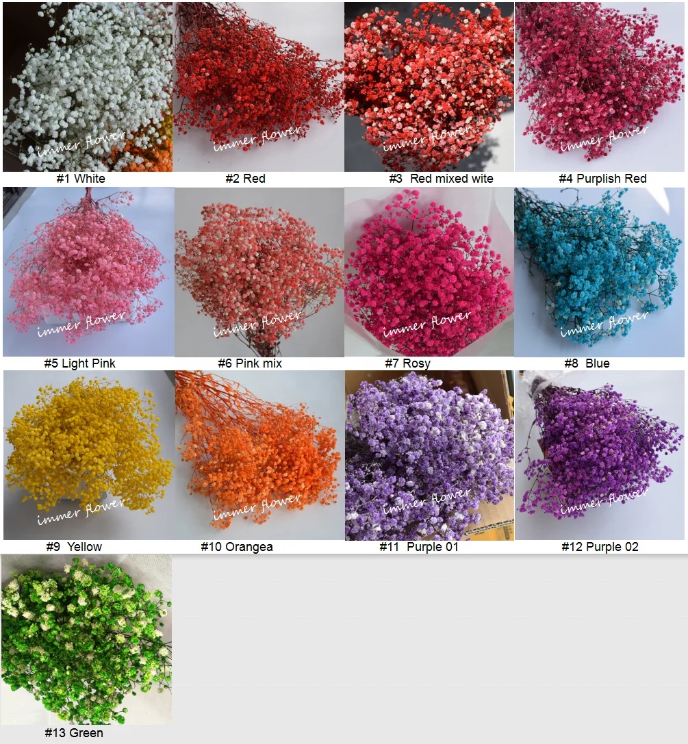 Cheap wholesale stabilized gypsophila preserved babysbreath star flower from China