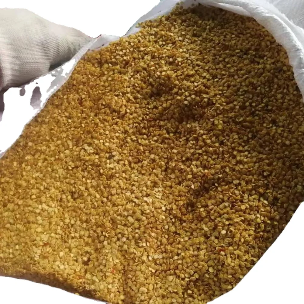 Exported to Pakistan high quality pepper seeds hybrid chilli seeds