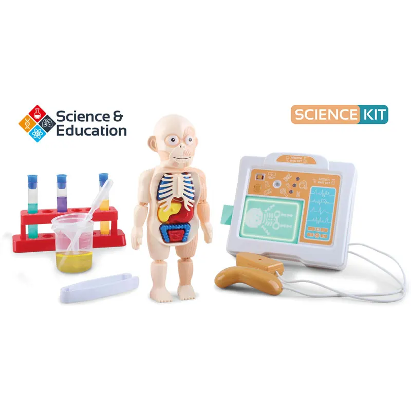 
Body Parts Game for Kids Organ Assembled Toys Human Body Puzzle Skeleton Anatomy Model Educational Learning Teaching tool 