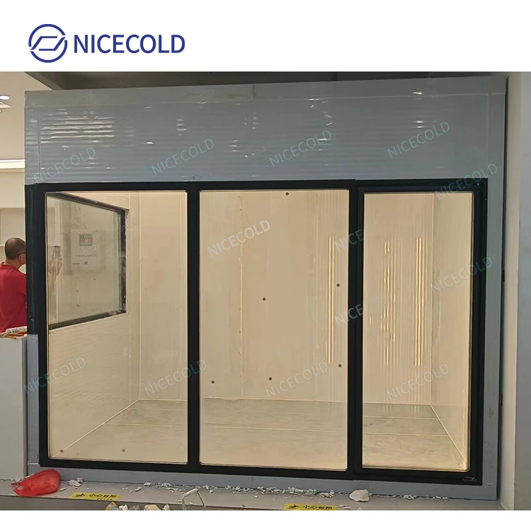 China Display Glass Door Walk in Cooler Flower Cold Room Supplier