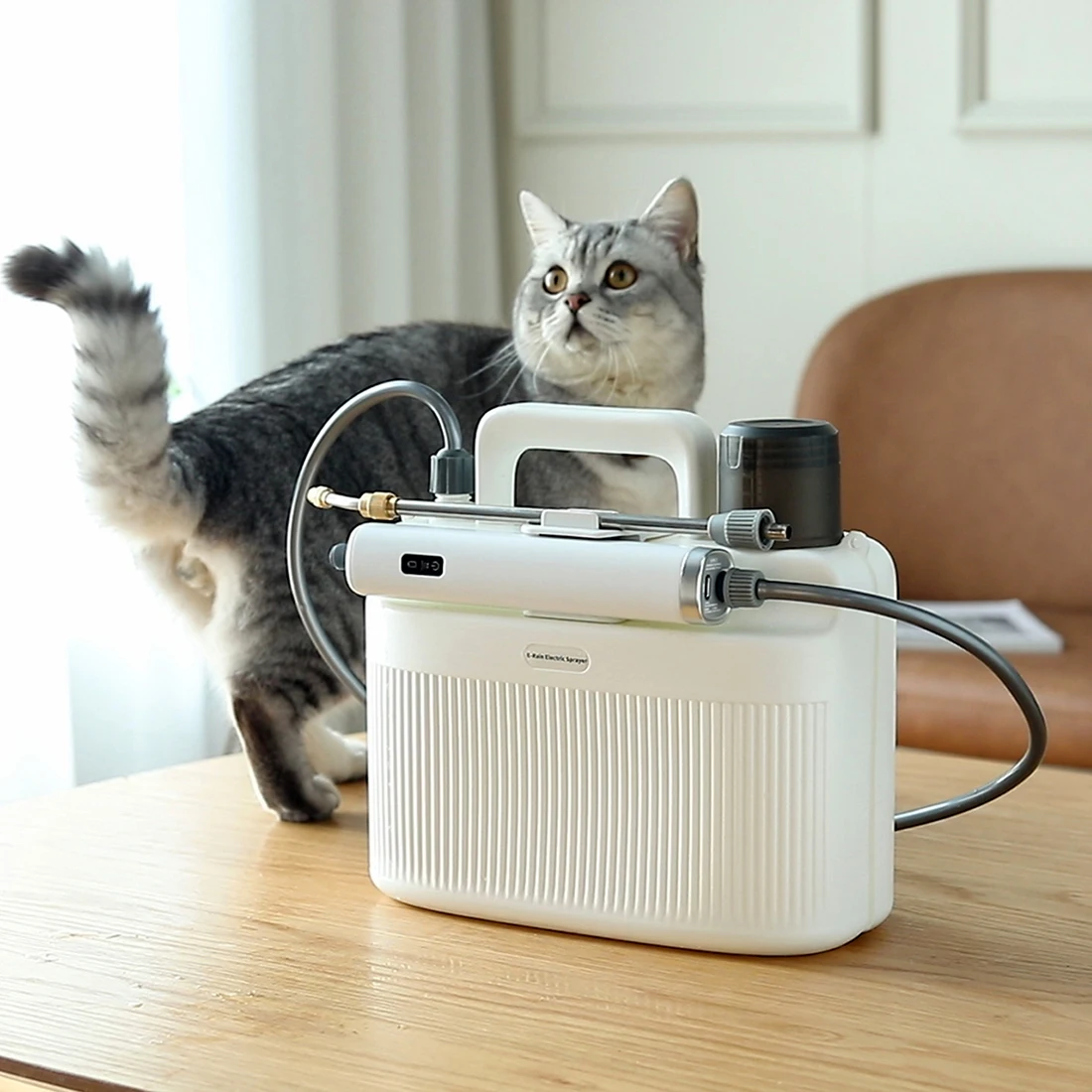 Low Price Homeuse Portable Rechargeable Battery Power 5L Water 5 Litre Garden Sprayer Electric