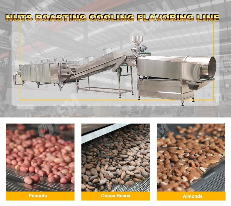 Continuous Nut Dryer Roasting Coating Seasoning Drum Single Double Rotary Roller Seasoning Flavoring Production Line