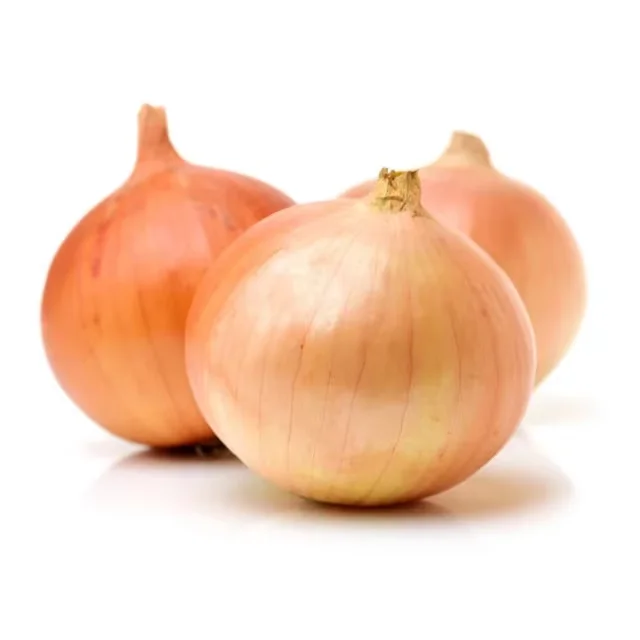 2024 New Crop Fresh Yellow Onion Wholesales Gansu Origin Cheap Price China Fresh Onions