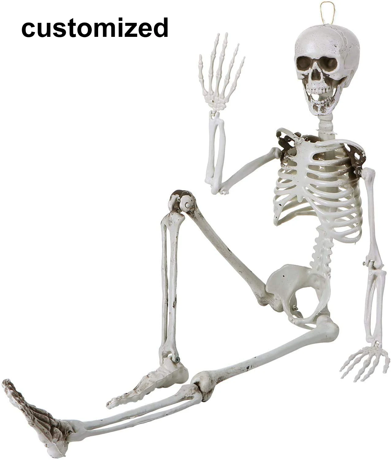 Customize 35 inch Halloween Skeleton Full Body Plastic Skeleton with Movable  Joints Perfect for Halloween Decorations Party