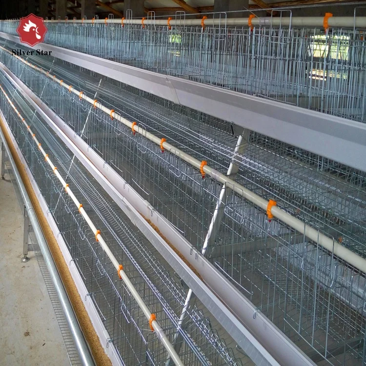 Cheap Chicken Layer Cage Price/Egg Laying Hens Cage/Chicken Cage For Sale