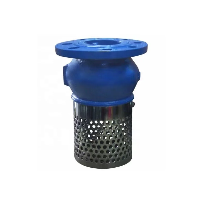 Ductile Iron Foot Valve with Stainless Steel Strainer