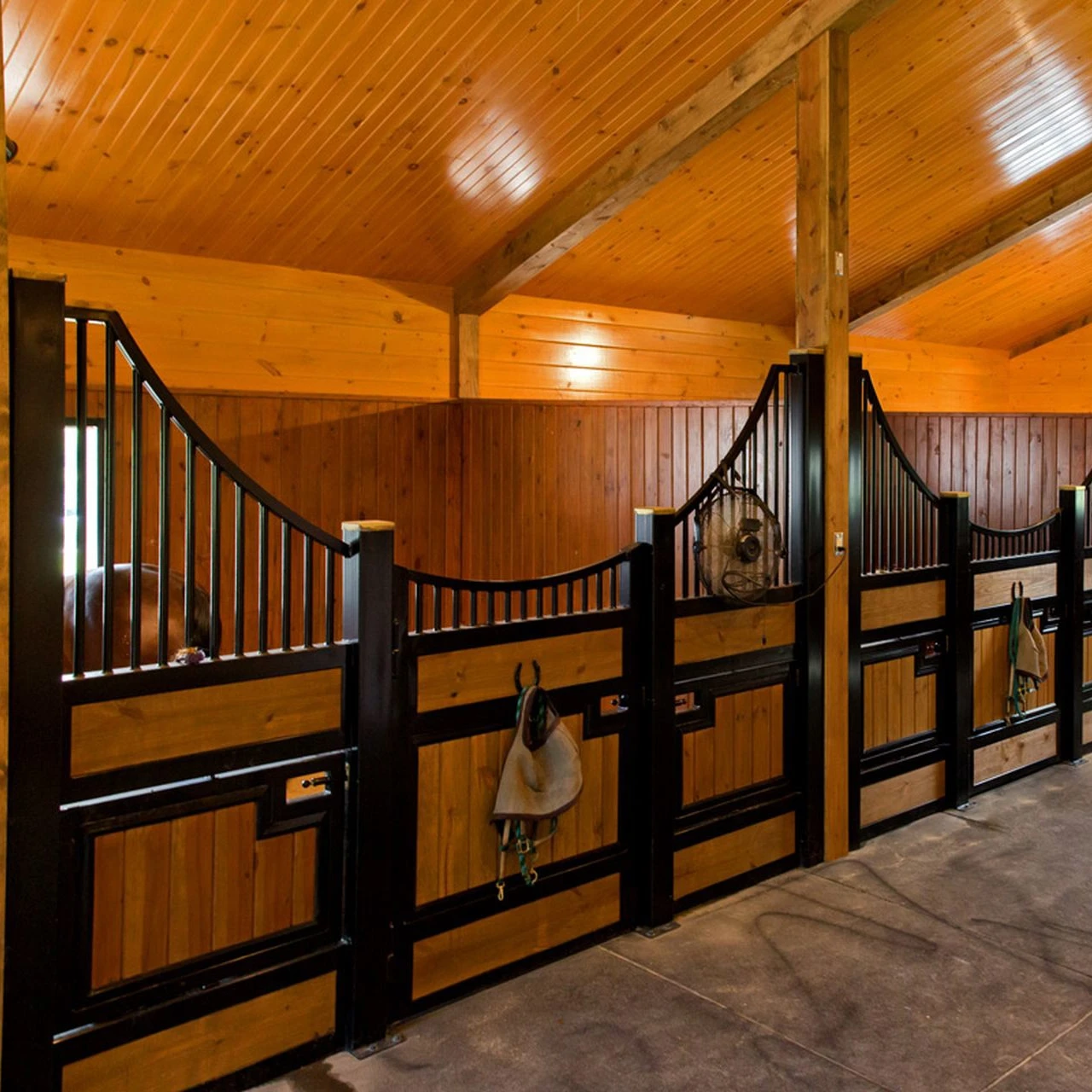 equine horse stable,horse stable interior,stable horses cows 4