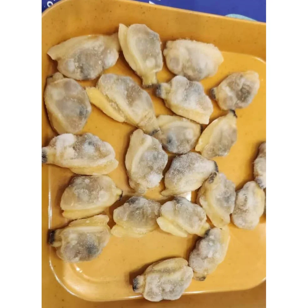 Frozen Clam Meat Short Necked Yellow IQF/BQF Seafood Fish Cooked Boiled Clean For Thailand Malaysia Vietnam Market