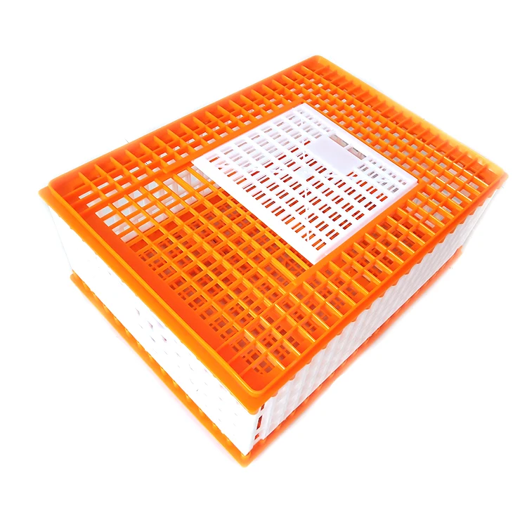 Plastic chicken used poultry carrier crates poultry transport cages