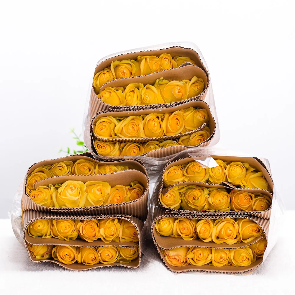 Hot Selling 2023  Fresh Cut Flowers Natural Yellow Roses For Wedding/Mothers Day Gifts Decoration Color Plants