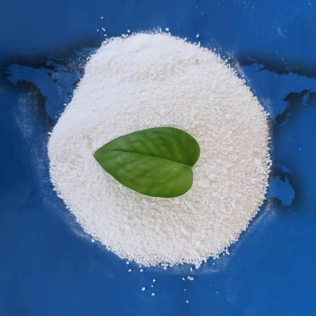 Plant Direct Sale Kieserite MgSO4 Fertilizer Magnesium Sulphate Monohydrate