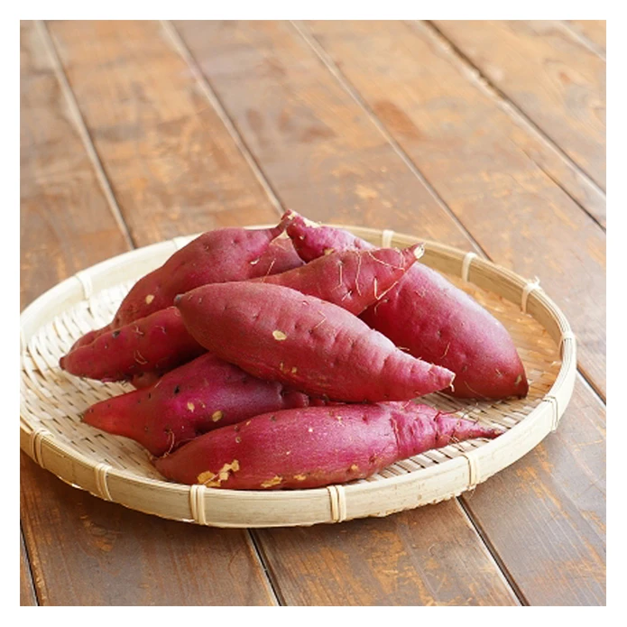 Made in Japan delicious Asian vegetables importers sweet potato price