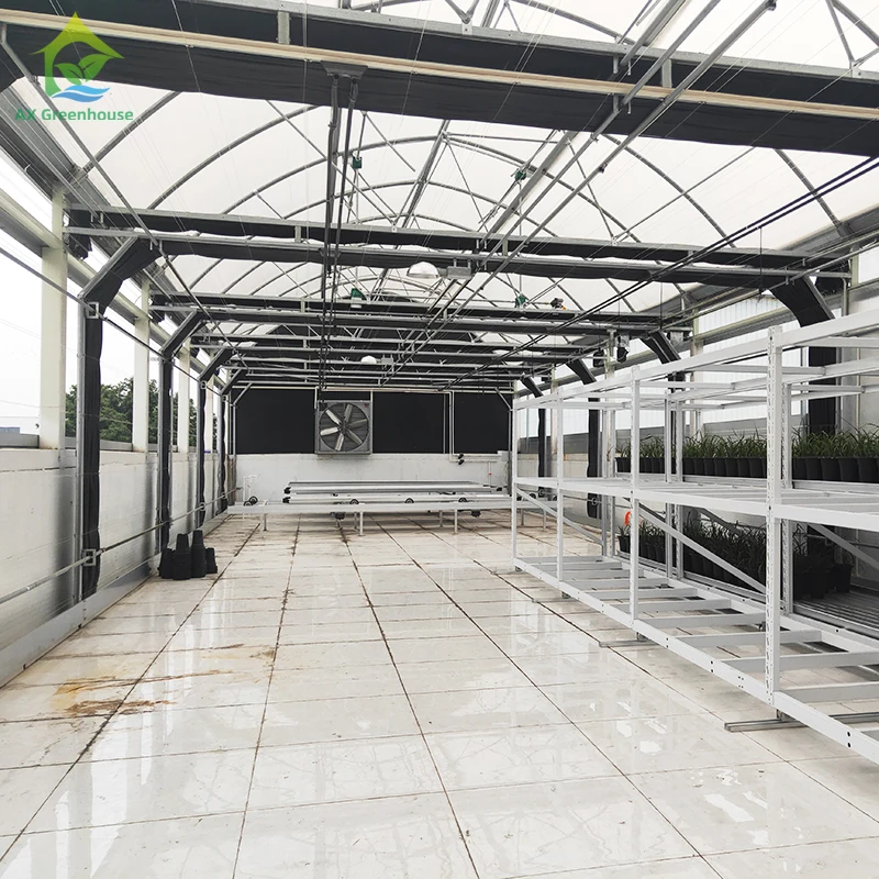 Commercial Industrial 30*100 Customized Blackout Light Deprivation Hemp Growing Poly Tunnel Greenhouse For Sale