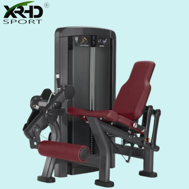 High-end leg extension trainer gym leg extension and bending trainer