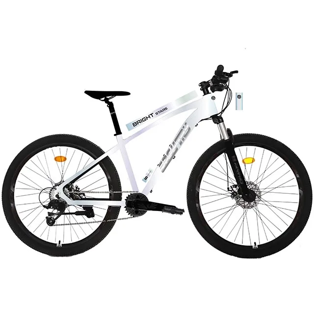 A variety of high-efficiency variable speed electric mountain bike Aluminum alloy shock absorbing e bike 36V 350W  electric bike