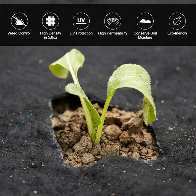 Black Color Weed Control Mulch Film Outdoor Plant Covers Non Woven Fabric For Agriculture Ground Cover Nonwoven Blanket