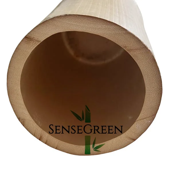 Moso оптовая продажа большие круглые бамбуковые столбы Натуральный Необработанный бамбук для строительства и украшения