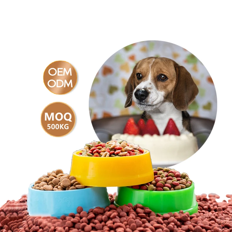 Best Selling Factory Hot Sales Various Shapes Pet Food Oem Dry Dog Food