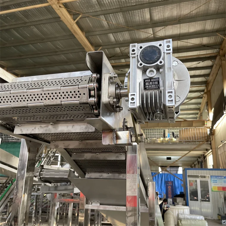 stainless steel  chain plate elevator  food conveyor