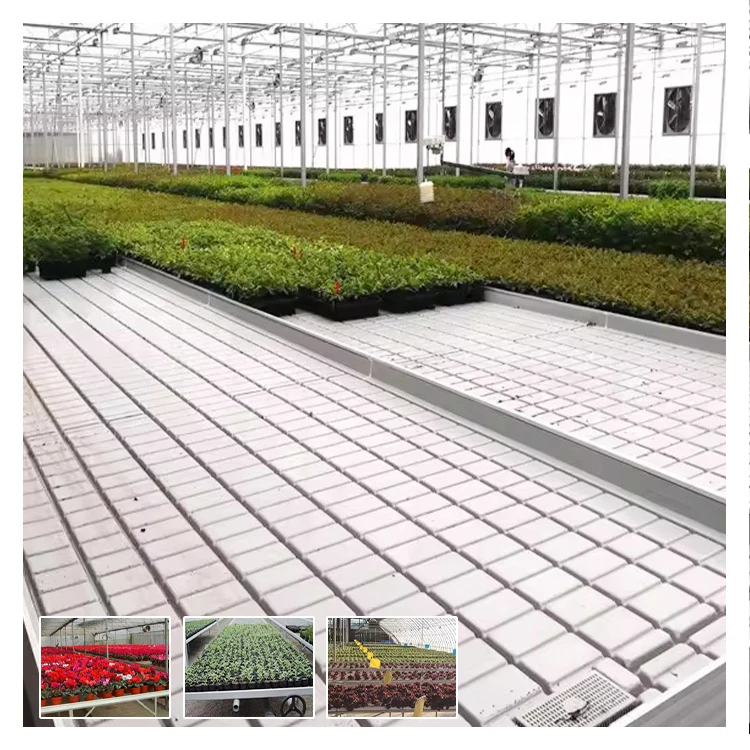 Commercial Hydroponic Systems Fruits Greenhouse Grow Table Ebb And Flow Rolling Tables/Bench With Flood Trays