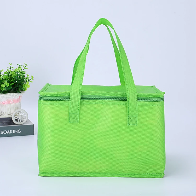 Нетканые мешки для морозильника, которые могут подогнать ваш собственный логотип для пикников на вынос