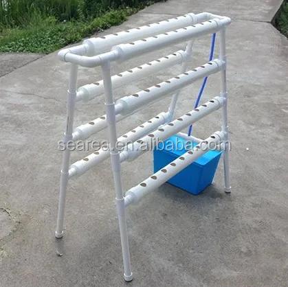 Searea Hydroponics Growing System for vegetable planting