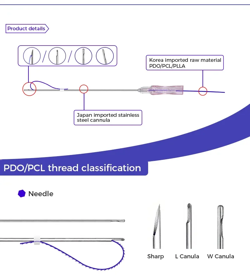 Double Needle Pdo Pcl Plla Thread Nose L Blunt Multi L Fish Bone L/W Blunt Molding Cog Pcl Mesh Thread for Facial Body Lifting.png