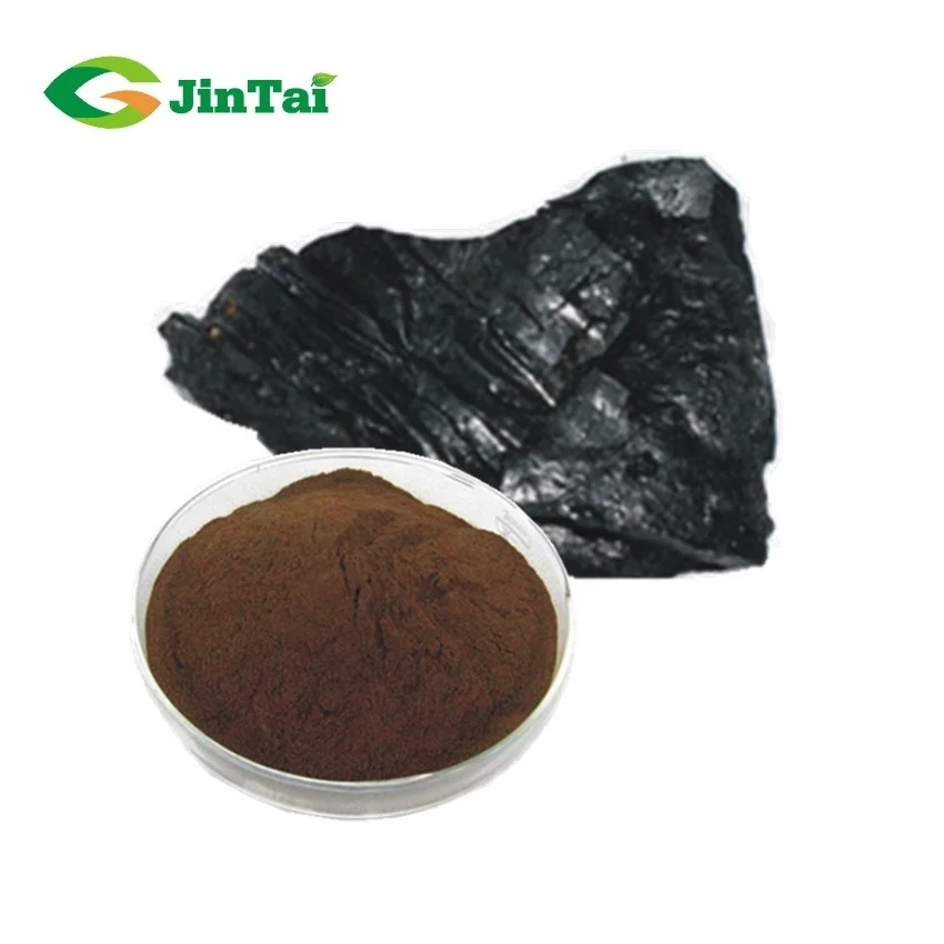 OEM/ODM Nature Supplements Shilajit Capsules Himalayan shilajit tablets High quality Fulvic Acid Supplement