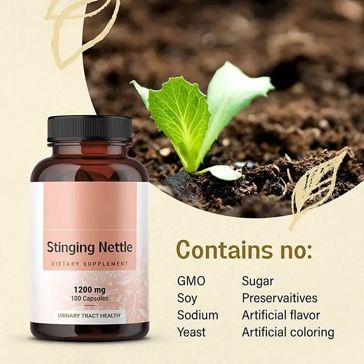 Wholesale Organic Stinging Nette Capsules 1200mg Urtica Extract Supplement
