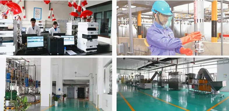 seaweed extract powder seaweed organic fertilizer npk