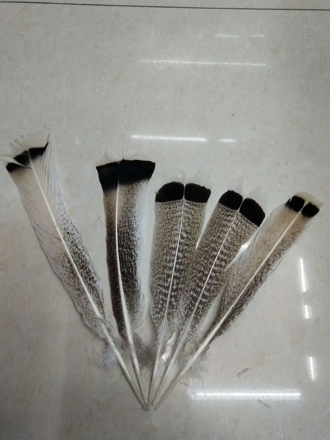 10-12inch Turkey Tail Feather Wholesale Feather Suppliers Natural pheasant feather