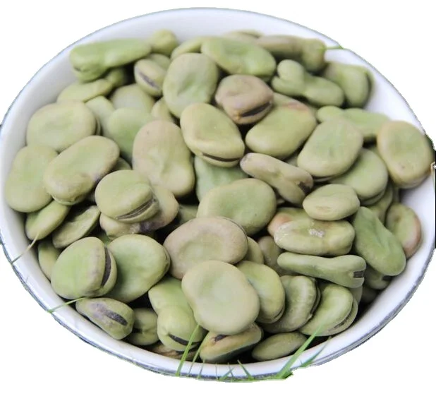 
New crop 2020 high quality of Faba beans 
