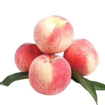 Лучшая цена, напиток, органический фруктовый порошок, экстракт персика, порошок с витамином, фруктовый сок с персиковым вкусом