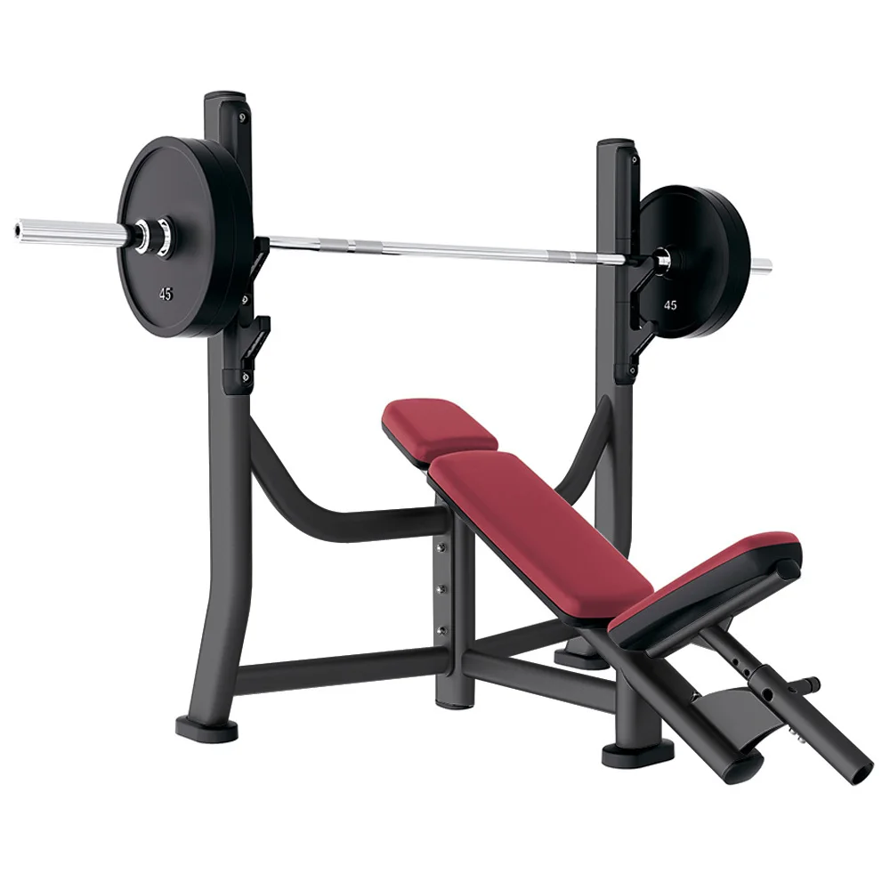 Professional Gym Exercise Equipment China gym Incline press exercise machine