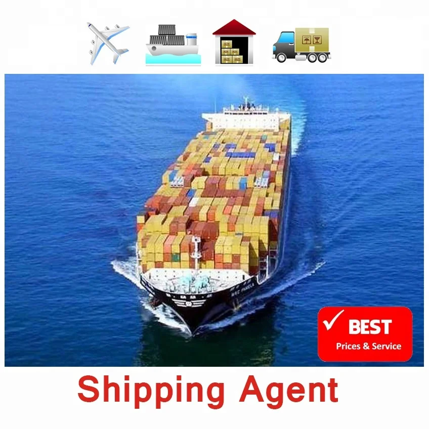 China shipping agent door to door service from China to USA Canada Europe