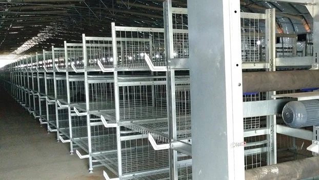  Автоматическое оборудование для птицы клетка цыплят