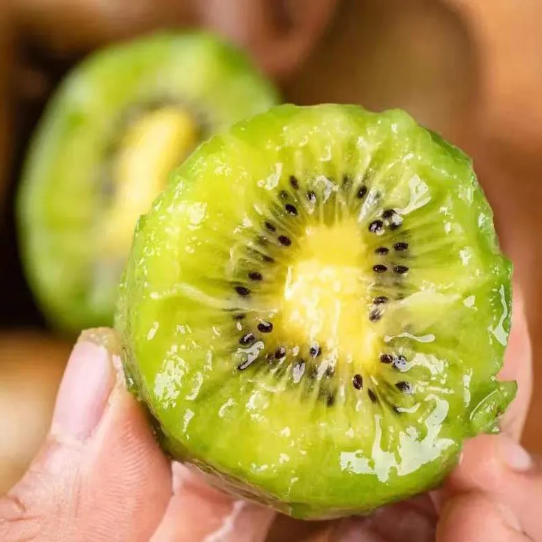 Fresh Kiwi Fruit Organic Green Kiwi High Dietary Fiber Chinese High Quality Fresh Fruit Kiwi