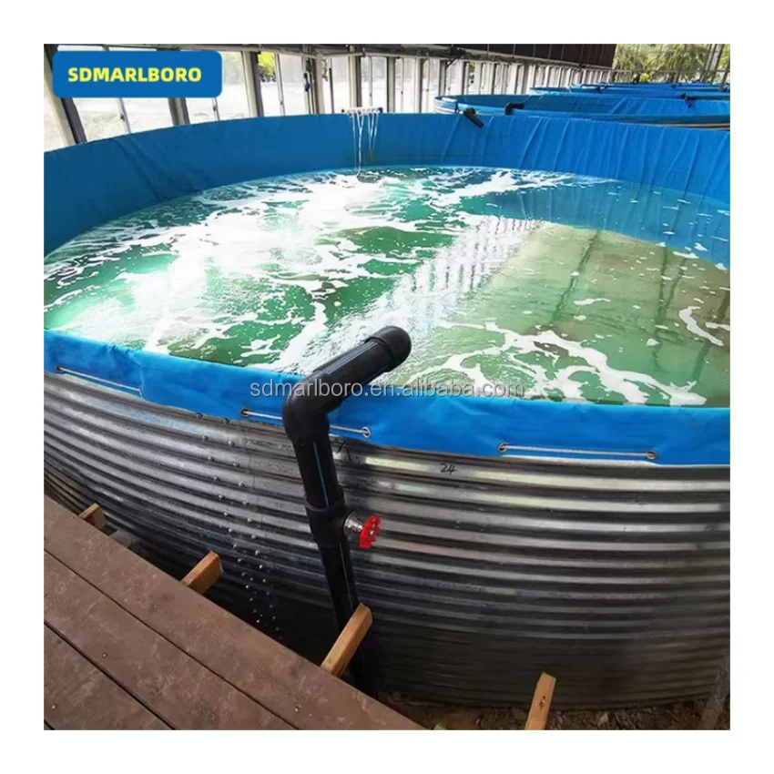 Fish Farming Equipment Tarpaulin Fish Pond Economic Hot Dip Galvanized Steel Koi Tilapia Fish Farming Pond