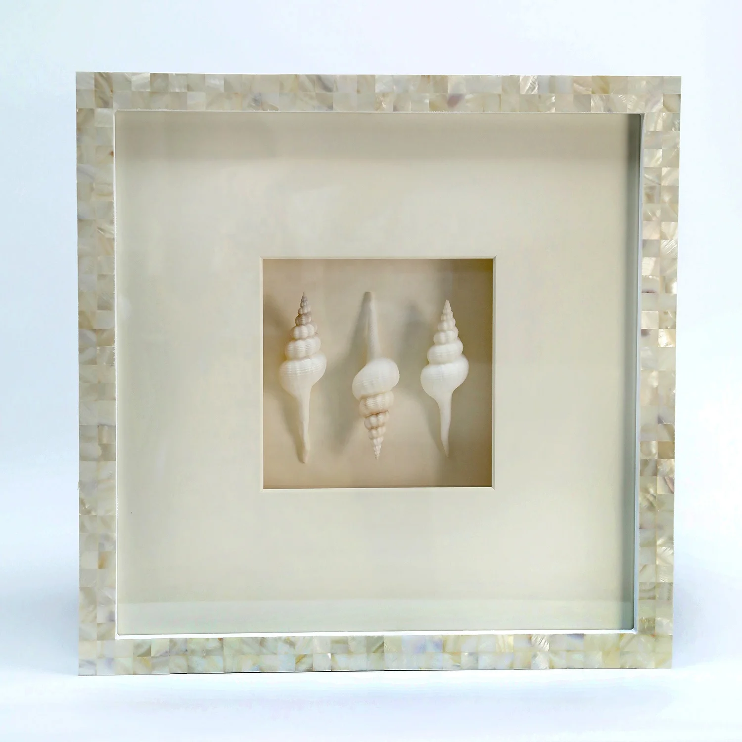 Lustrous Conch Wall Decor Seashell Framed Artwork for Coastal Hotel